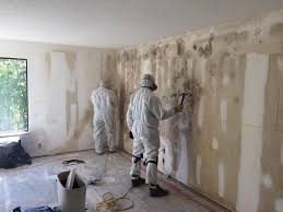 Chrisman, IL Mold Removal Company